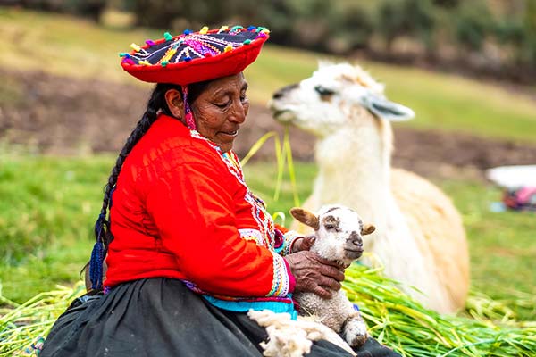 Peru's gastronomy