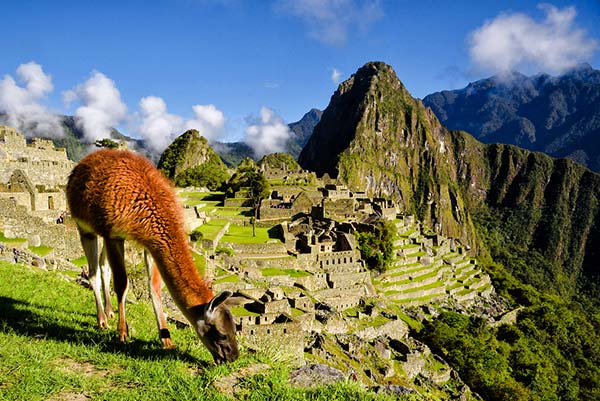Machu picchu : the masterpiece of the Incas